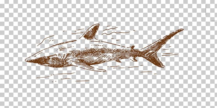 Shark Euclidean PNG, Clipart, Animals, Download, Drawing, Drawn Vector, Element Free PNG Download