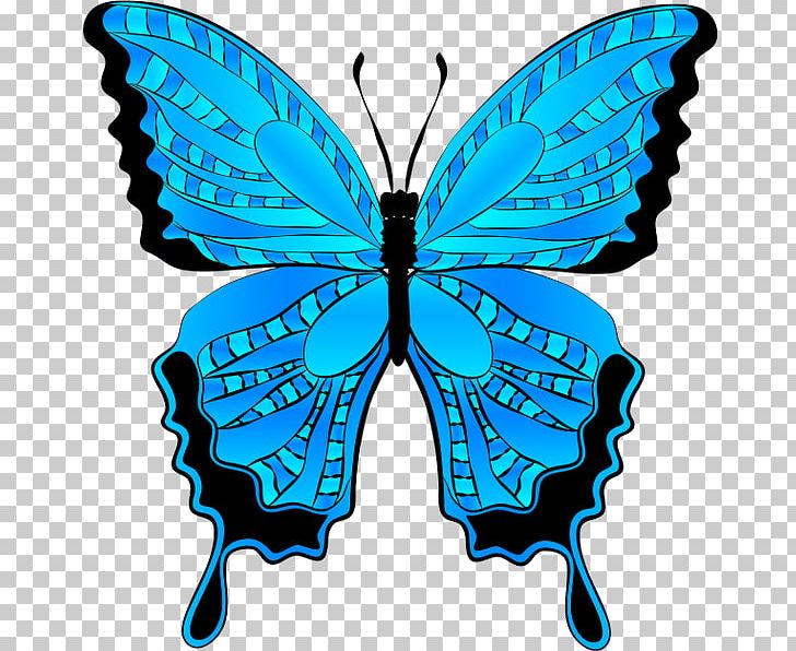 Butterfly Menelaus Blue Morpho PNG, Clipart, Blue, Blue Butterfly, Brush Footed Butterfly, Butterfly, Butterfly Clipart Free PNG Download