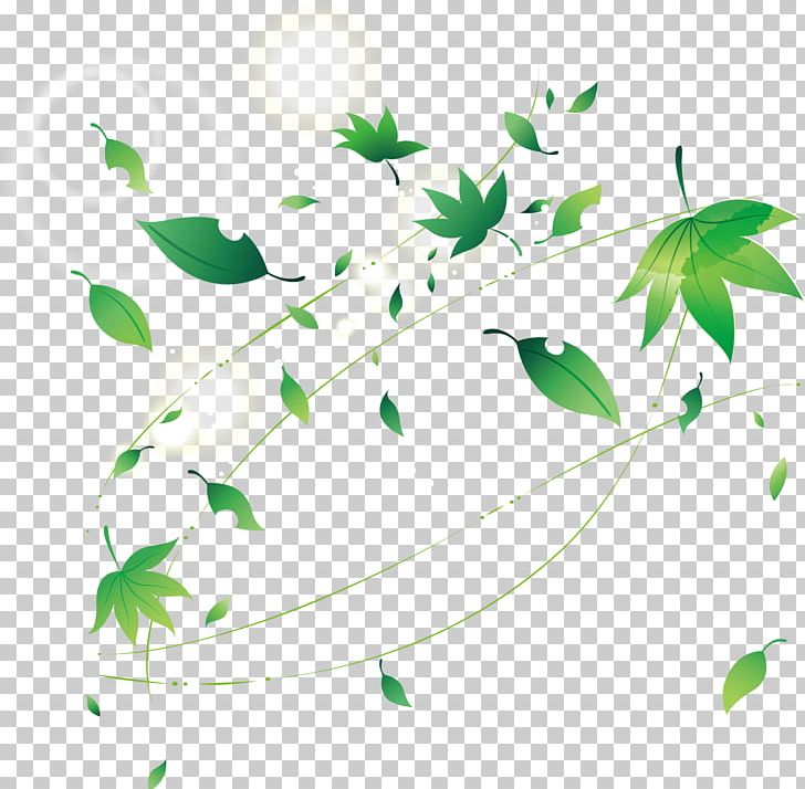 Leaf Adobe Illustrator PNG, Clipart, Angle, Autumn, Autumn Leaf, Branch, Circle Free PNG Download