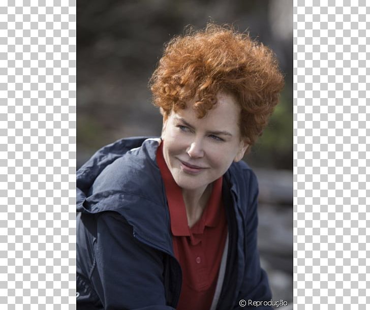 Nicole Kidman Lion AACTA Awards Sue Brierley Film PNG, Clipart, Academy Awards, Actor, Australia, Award, Brown Hair Free PNG Download