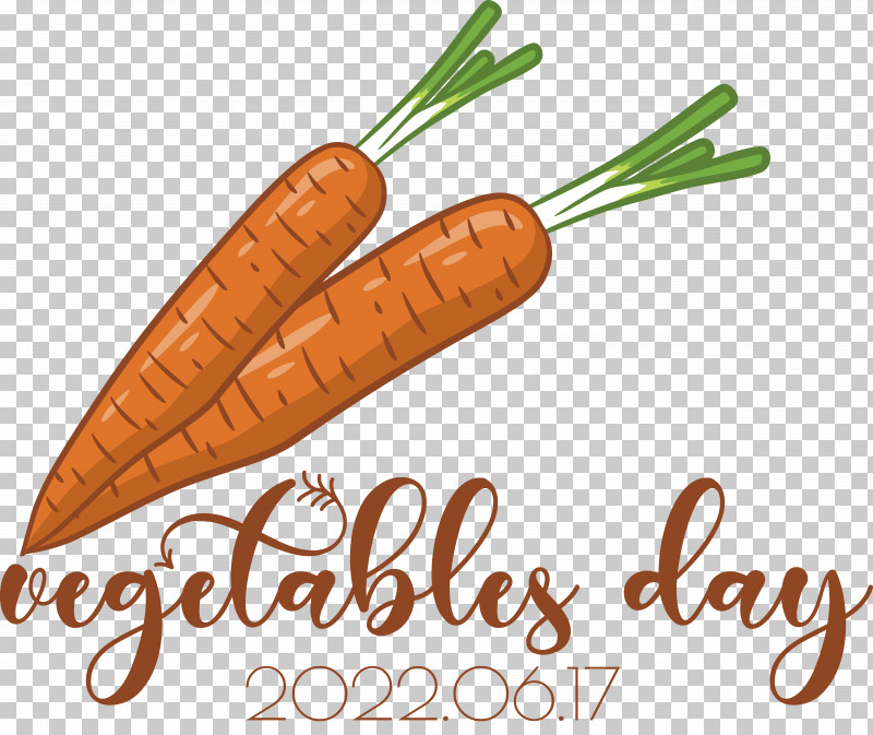 Vegetable Superfood Font Carrot PNG, Clipart, Carrot, Superfood, Vegetable Free PNG Download
