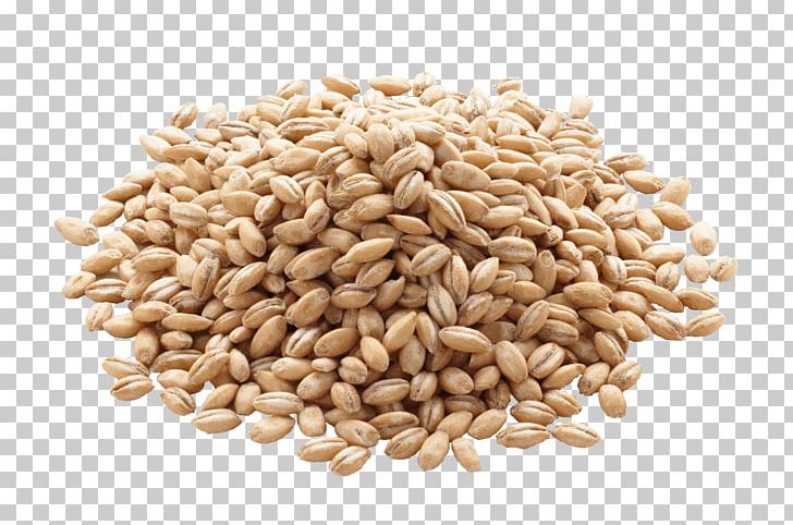 Barley Organic Food Cereal Whole Grain Rice PNG, Clipart, Barley, Bran, Bread, Cereal, Cereal Germ Free PNG Download
