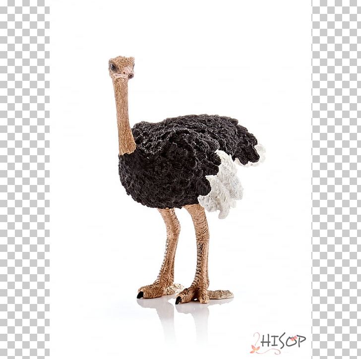 Common Ostrich Toy Schleich Emu Barbie PNG, Clipart, Animal, Barbie, Beak, Bird, Brand Free PNG Download