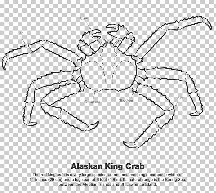 Crab Line Art Drawing /m/02csf PNG, Clipart, Angle, Animals, Area, Art, Artwork Free PNG Download