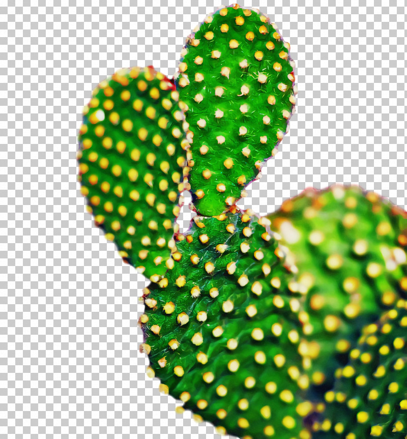 Cactus PNG, Clipart, Barbary Fig, Cactus, Chinese Pear, Eastern Prickly Pear, Flowerpot Free PNG Download