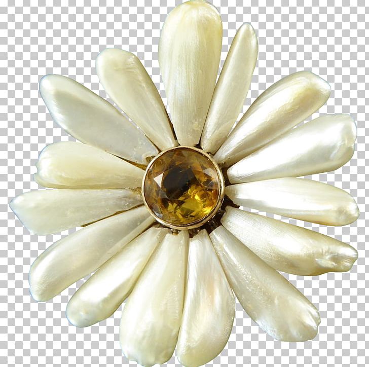 Body Jewellery PNG, Clipart, Body Jewellery, Body Jewelry, Brooch, Daisy, Flower Free PNG Download