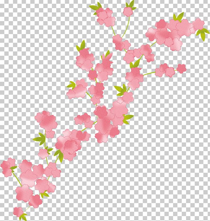 Branch Flower Bouquet Cherry Blossom Floral Design PNG, Clipart, Blossom, Branch, Cherry Blossom, Cut Flowers, Drawing Free PNG Download
