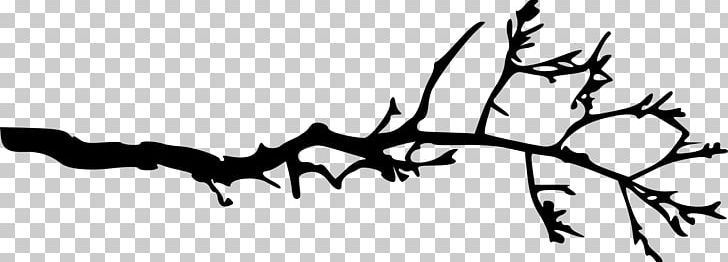 Branch Tree PNG, Clipart, Art, Bat, Bing, Black, Black And White Free PNG Download