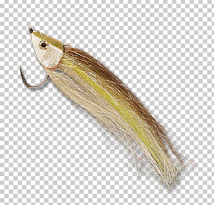 Fishing Bait PNG, Clipart, Fish, Fishing, Fishing Bait Free PNG Download