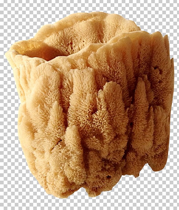 Fur PNG, Clipart, Fur, Others, Sea Sponge, Wool Free PNG Download