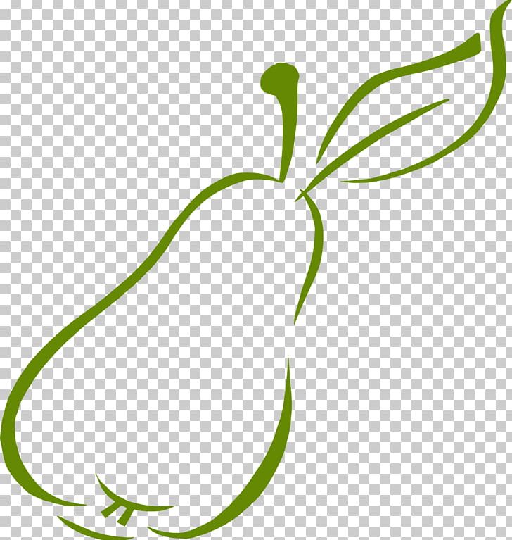 Pear PNG, Clipart, Android, Auglis, Circle, Flora, Floral Design Free PNG Download