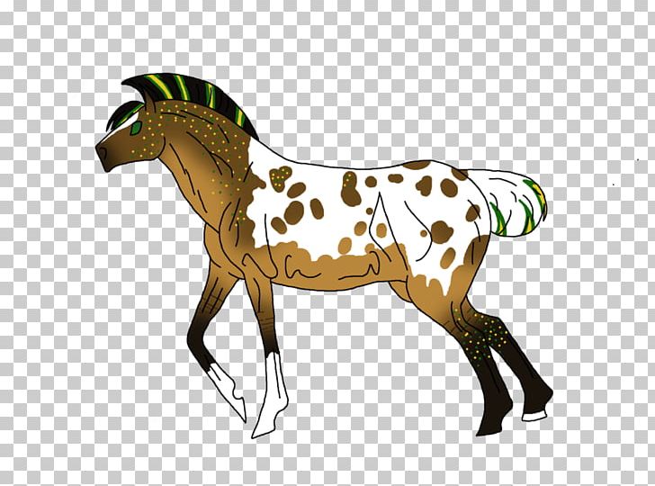 Pony Mustang Foal Stallion Colt PNG, Clipart,  Free PNG Download