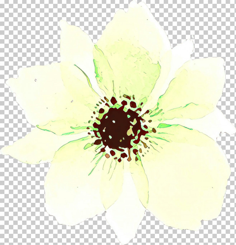White Flower Petal Plant Watercolor Paint PNG, Clipart, Flower, Petal, Plant, Watercolor Paint, White Free PNG Download
