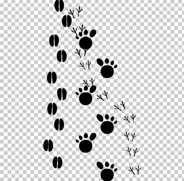 Dog Animal Track Footprint Paw PNG, Clipart, Animal, Animals, Animal Track, Bear, Black Free PNG Download