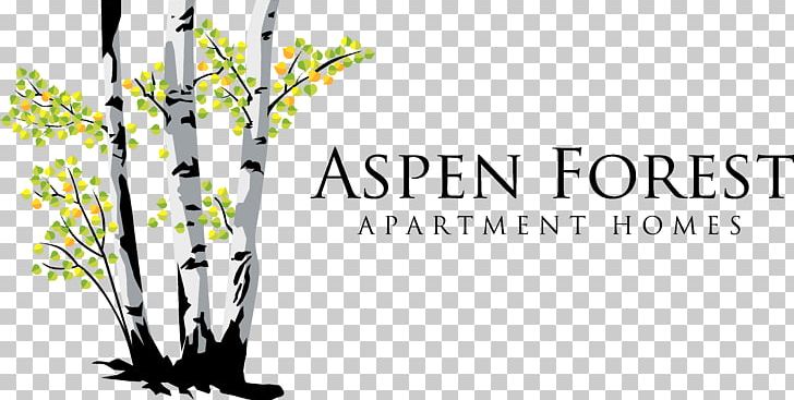 Houston Aspen Forest Apartment Homes Bohnhof Strasse Street Logo Vintage Park Boulevard PNG, Clipart, Apartment, Branch, Brand, Flora, Floral Design Free PNG Download