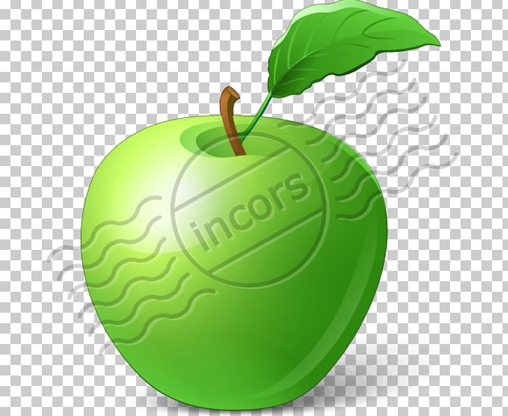 Ornament Link 1 PNG, Clipart, Android, Apple, Bracket, Calendar, Food Free PNG Download