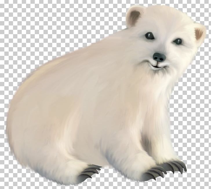 Baby Polar Bear Polar Regions Of Earth PNG, Clipart, Animal, Animal Figure, Animals, Baby Polar Bear, Bear Free PNG Download