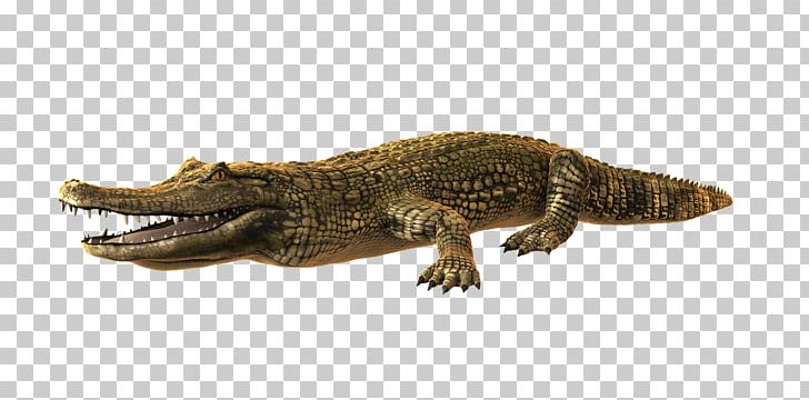 Crocodile Alligator PNG, Clipart, Alligator, Animal Figure, Animals, Caiman, Cayman Free PNG Download