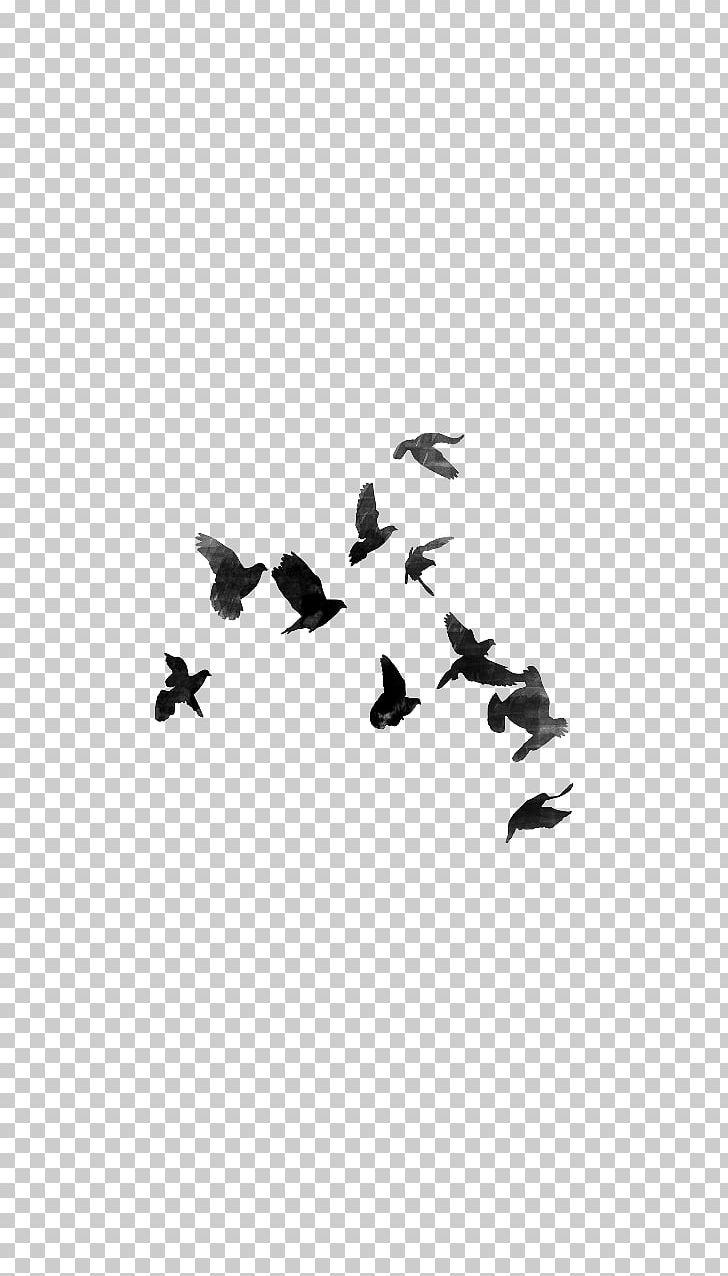 PicsArt Photo Studio Desktop Drawing PNG, Clipart, Android, Angle, Bird, Black, Black And White Free PNG Download