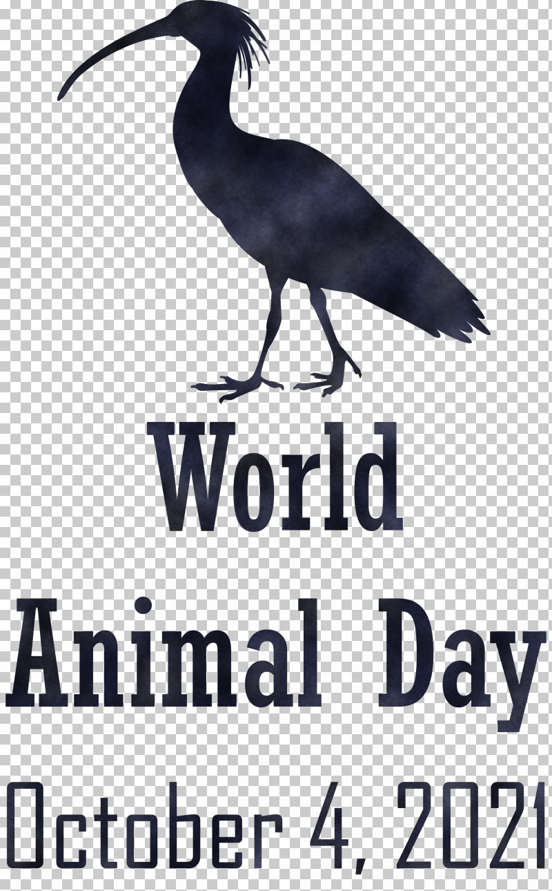 World Animal Day Animal Day PNG, Clipart, Animal Day, Beak, Birds, Ducks, Grammar Free PNG Download