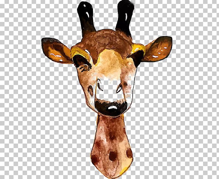 Deer Giraffe Giant Panda Elk PNG, Clipart, Animal, Animals, Christmas Deer, Cuteness, Decoration Free PNG Download