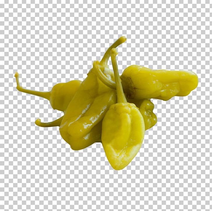 Habanero Jalapeño Peperoncino Peppers Bell Pepper PNG, Clipart, Bell Pepper, Bell Peppers And Chili Peppers, Chili Pepper, Food, Foodservice Free PNG Download