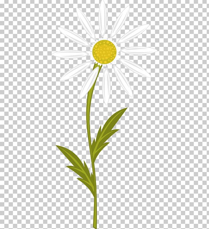 Chamomile Nuvola PNG, Clipart, Black And White, Chamaemelum Nobile, Chamomile, Computer Icons, Daisy Free PNG Download