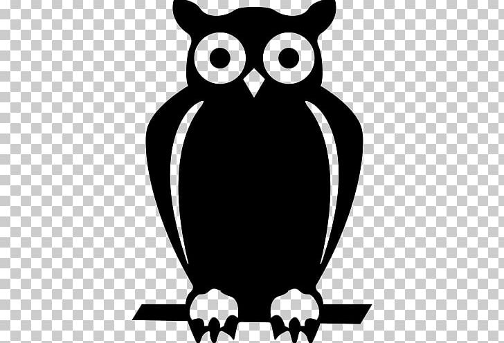 Owl T-shirt Naturschutzgebiet Conservation Vacation Rental PNG, Clipart, Animals, Apartment, Beak, Bird, Bird Of Prey Free PNG Download