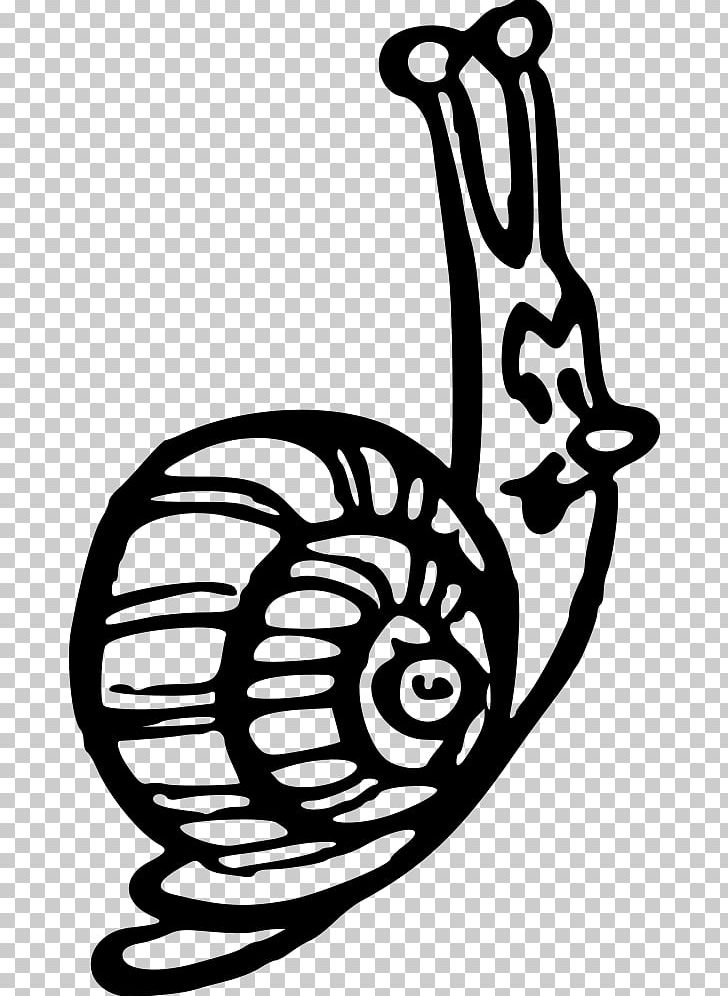 Snail Gastropod Shell Animal PNG, Clipart, Animal, Animals, Art, Artwork, Black And White Free PNG Download