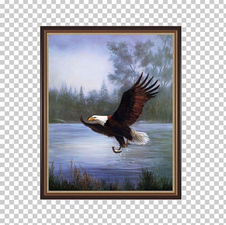 Eagle Painting Canvas Art Printmaking PNG, Clipart, Animals, Bald Eagle, Bird, Canvas, Decorative Free PNG Download