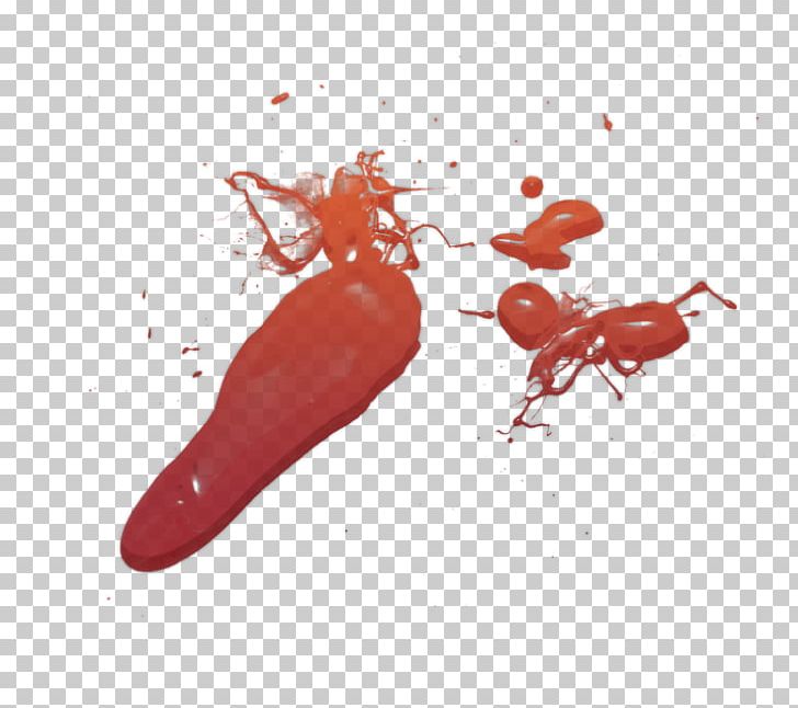 Light Photography Blood Close-up Decapods PNG, Clipart, Amin, Blood, Blood Splatter, Closeup, Decapoda Free PNG Download