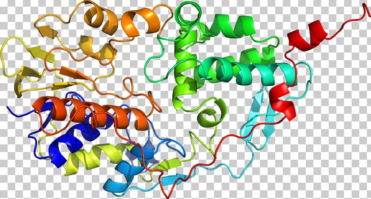 Shkola Khorarnoy Astrologii Marka Rusborna Monoamine Oxidase Moscow State University Scientist Nature PNG, Clipart, Area, Art, Artwork, Graphic Design, Line Free PNG Download