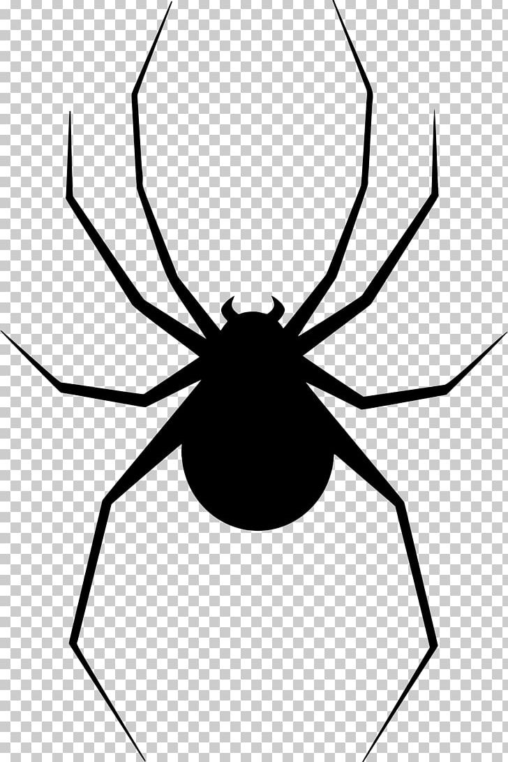 Spider Web PNG, Clipart, Arachnid, Arthropod, Artwork, Black And White, Drawing Free PNG Download