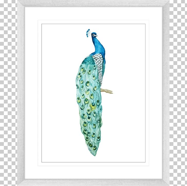 Bird Asiatic Peafowl Photography Feather PNG, Clipart, Animals, Aqua, Asiatic Peafowl, Bird, Drawing Free PNG Download