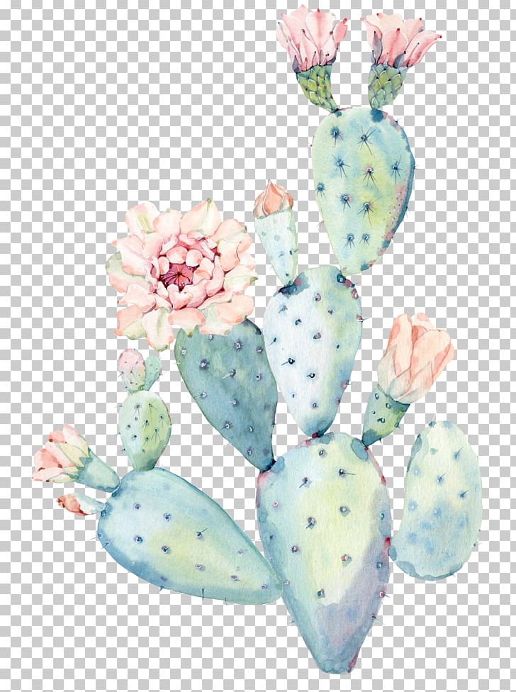 Cactaceae Watercolor Painting Saguaro PNG, Clipart, Art, Botany, Cactaceae, Cactus, Canvas Free PNG Download