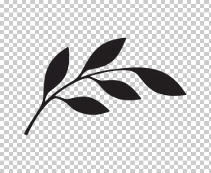 Leaf White Black M PNG, Clipart, Angeles, Black, Black And White, Black M, Branch Free PNG Download