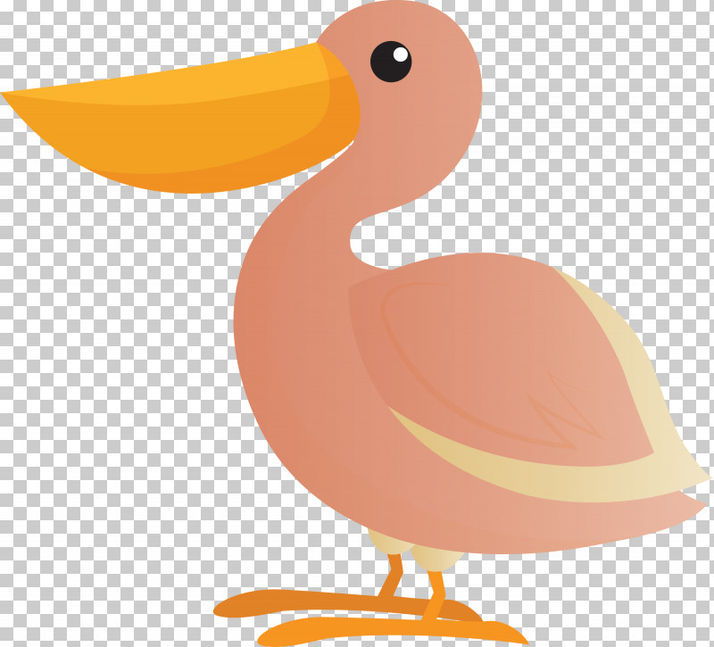 Duck Beak Seabird Orange S.a. PNG, Clipart, Beak, Bird Cartoon, Cute Bird, Duck, Orange Sa Free PNG Download