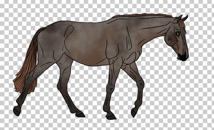 Foal Pony Rein Mare Mustang PNG, Clipart, Barn, Bridle, Discipline, Ducati, Equestrian Free PNG Download