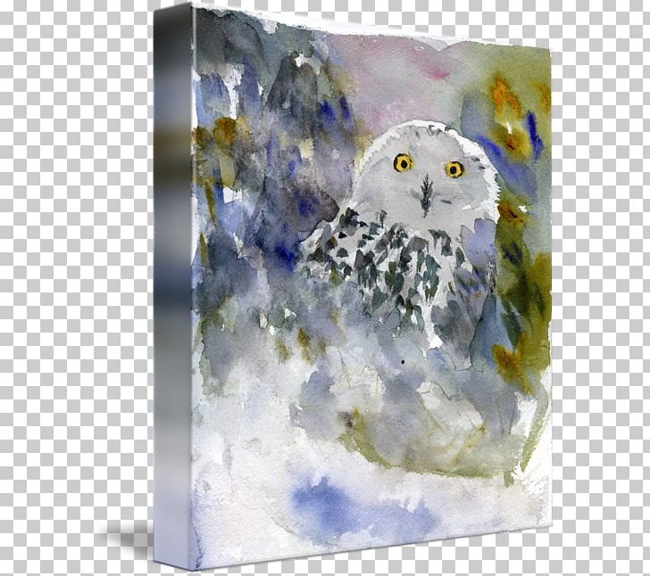 Owl Watercolor Painting Gallery Wrap Canvas PNG, Clipart, Animals, Art, Bird, Bird Of Prey, Blanket Free PNG Download