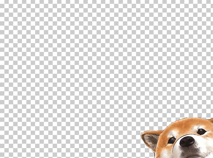 Pembroke Welsh Corgi Golden Retriever Pomeranian Puppy PNG, Clipart, Animals, Canidae, Carnivoran, Companion Dog, Computer Free PNG Download