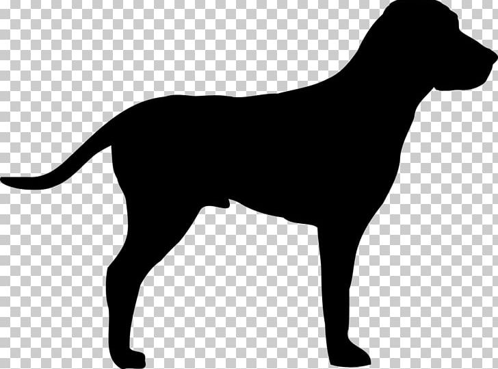 Pointer Labrador Retriever Puppy Weimaraner PNG, Clipart, Animal, Animals, Black, Black And White, Canidae Free PNG Download