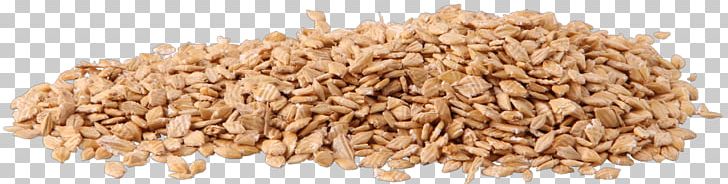 Horse Barley Cereal Oat Whole Grain PNG, Clipart, Barley, Cereal, Cereal Germ, Commodity, Common Wheat Free PNG Download