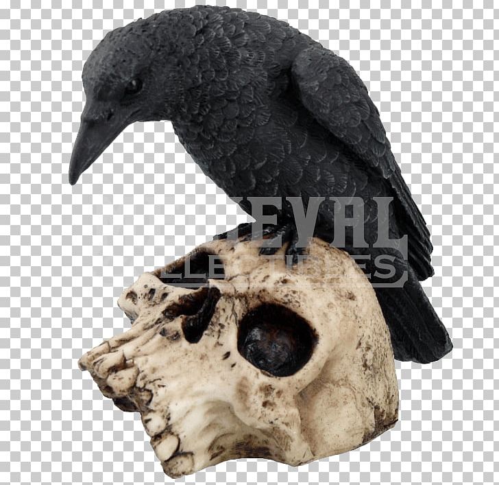 Statue Figurine Skull Polyresin Death PNG, Clipart, Beak, Bird, Collectable, Crow, Crow Like Bird Free PNG Download