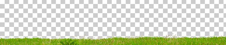Crop Lawn Grassland Land Lot Grasses PNG, Clipart, Agriculture, Background Tree, Commodity, Crop, Family Free PNG Download