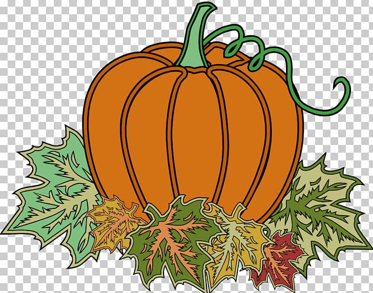 Jack-o'-lantern Pumpkin Autumn Gourd PNG, Clipart, Calabaza, Commodity, Cucumber Gourd And Melon Family, Cucurbita, Festival Free PNG Download