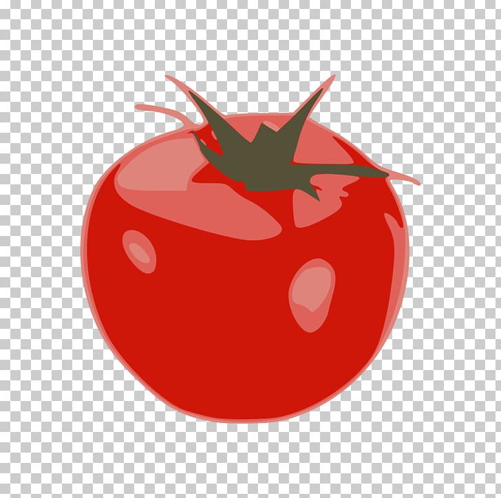 Tomato Health Vegetable PNG, Clipart, Apple, Drawing, Food, Food Group, Fruit Free PNG Download