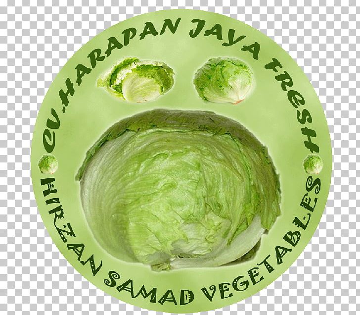 CV. Harapan Jaya Lettuce Supplier Sayuran Segar Business PNG, Clipart, Bulat, Business, Dishware, Food, Ingredient Free PNG Download