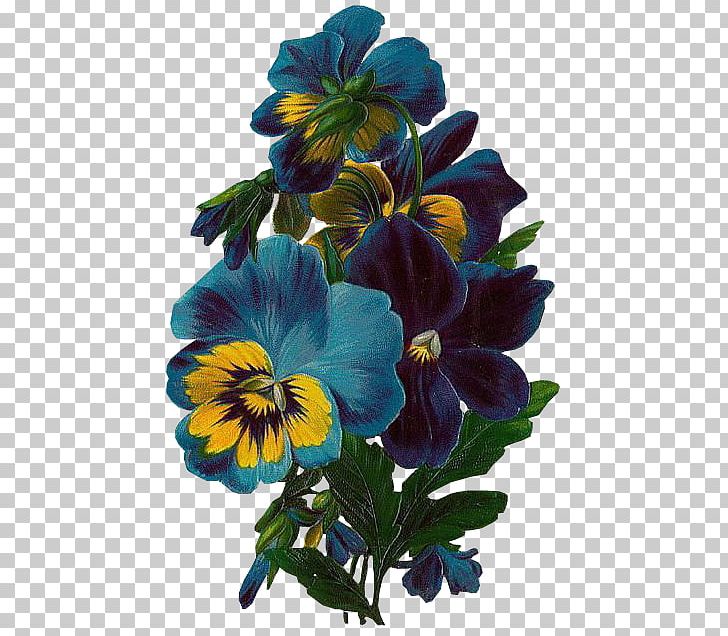Flower Floral Design PNG, Clipart, Annual Plant, Art, Botanical Illustration, Clip , Cut Flowers Free PNG Download