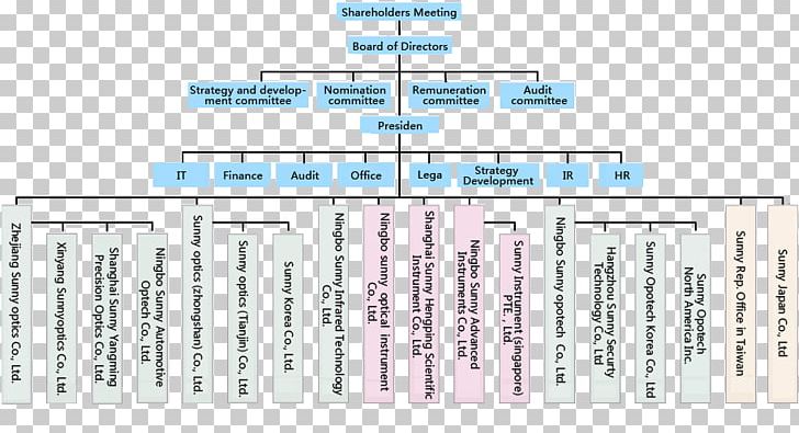 Organizational Structure Company Organizational Chart Corporation PNG ...