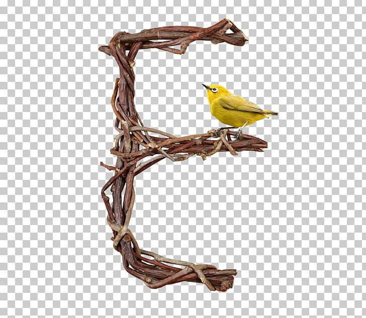 Typography Font Typeface Letter Poster PNG, Clipart, Alphabet, Beak, Bird, Branch, Information Free PNG Download